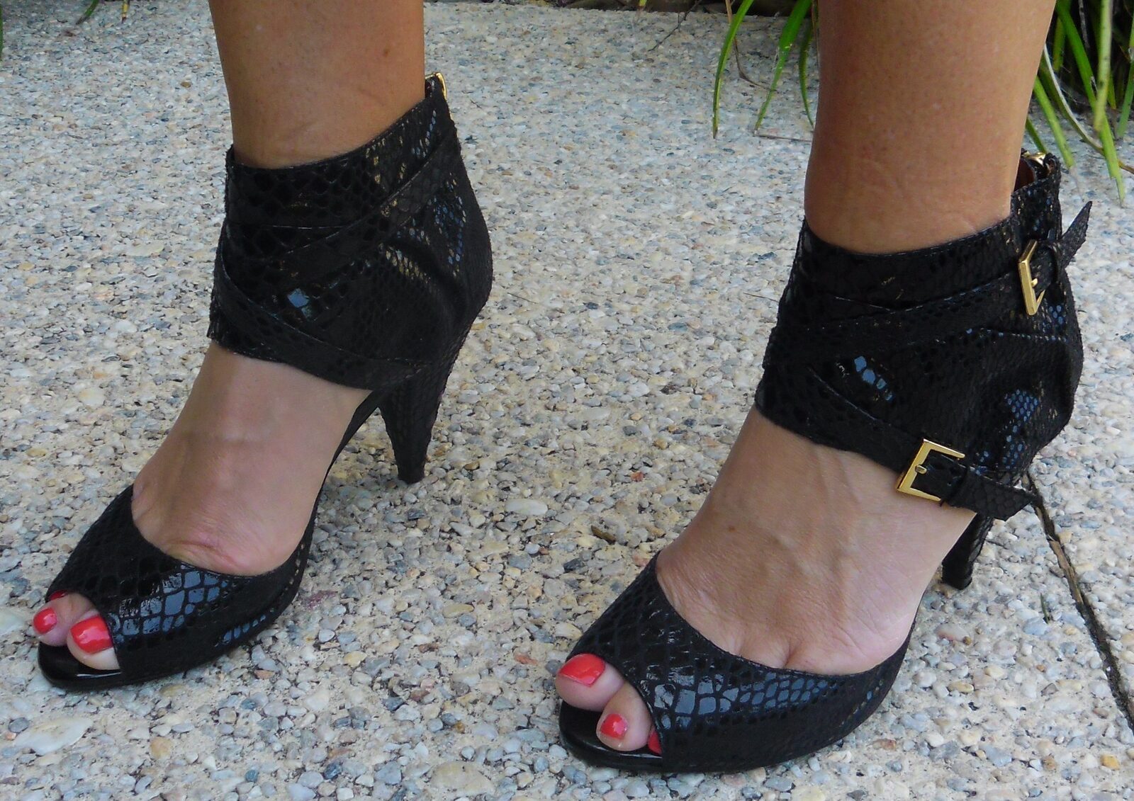 Black skin, gold buckle