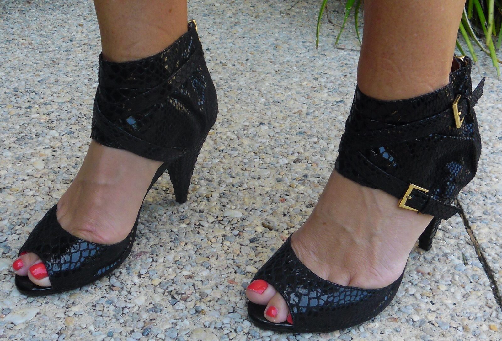 Black skin, gold buckle