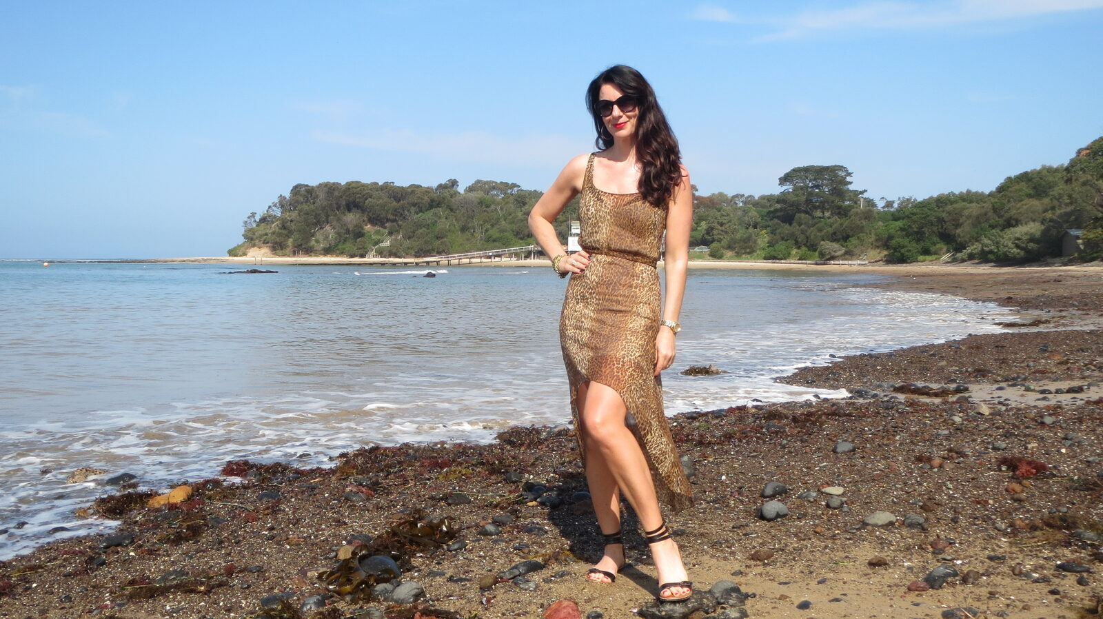 Sheer leopard dress slider 1