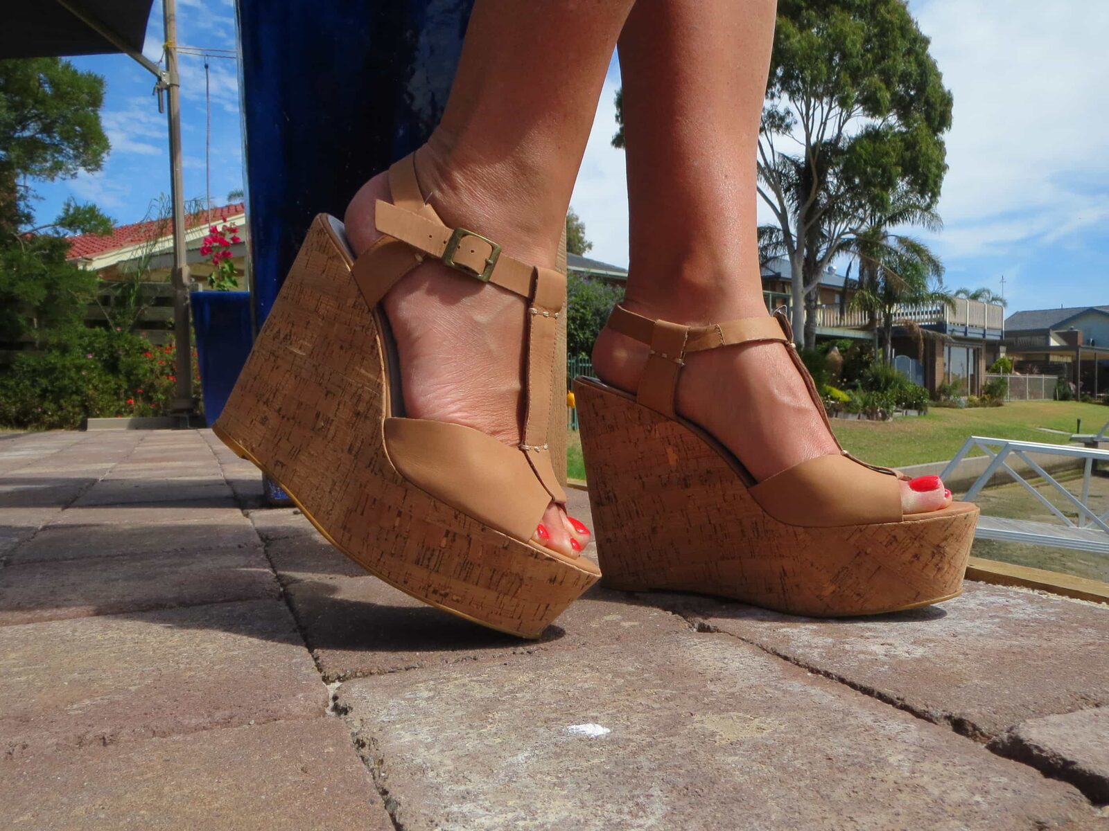 Zu wedges 1